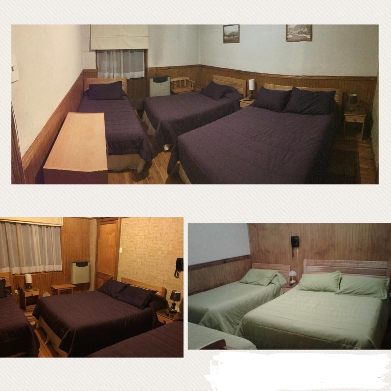 Hostal Chalet Las Violetas بونتا أريناس المظهر الخارجي الصورة
